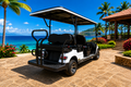 LVTong 6 Seater Electric Golf Cart