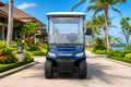 LVTong 8 Seater Electric Golf Cart