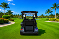 LVTong 2 Seater Limited Edition Golf Cart