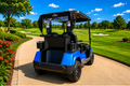 LVTong 2 Seater Fleet Golf Cart