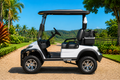 LVTong 2 Seater Lifted Electric Golf Cart