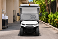 LVTong 2 Seater Electric Linen Cart