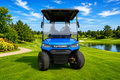 LVTong 2 Seater Premium Golf Cart