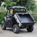 Marshell Electric UTV DV-T2