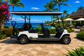 LVTong 6 Seater Electric Golf Cart