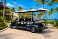 LVTong 8 Seater Electric Golf Cart
