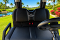 LVTong 2 Seater Limited Edition Golf Cart