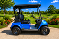 LVTong 2 Seater Fleet Golf Cart
