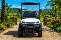 LVTong 2 Seater Lifted Electric Golf Cart