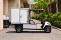 LVTong 2 Seater Electric Linen Cart