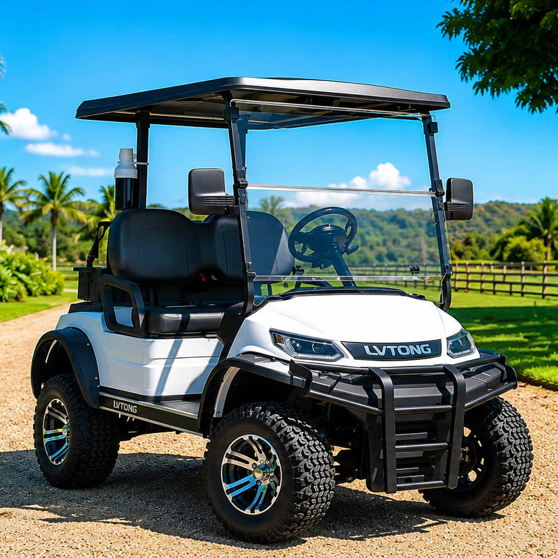 LVTong 2 Seater Lifted Electric Golf Cart