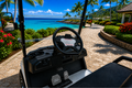LVTong 6 Seater Electric Golf Cart