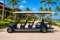 LVTong 8 Seater Electric Golf Cart