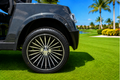 LVTong 2 Seater Limited Edition Golf Cart