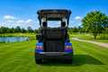 LVTong 2 Seater Premium Golf Cart