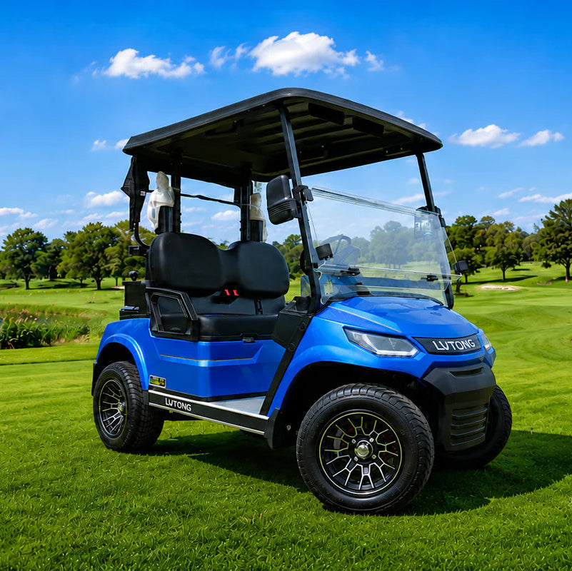 LVTong 2 Seater Premium Golf Cart
