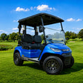 LVTong 2 Seater Premium Golf Cart