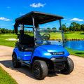 LVTong 2 Seater Fleet Golf Cart