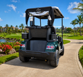 LVTong 2 Seater Premium Golf Cart