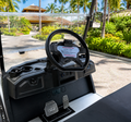 LVTong 2 Seater Premium Golf Cart
