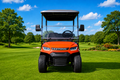 LVTong 4 Seater Electric Golf Cart