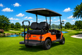 LVTong 4 Seater Electric Golf Cart