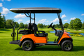 LVTong 4 Seater Electric Golf Cart