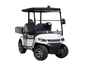 LVTong 2 Seater Short Wheel Base Utility Cart (Ute)