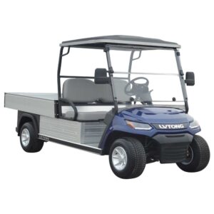 LVTong 2 Seater Long Wheel Base Utility Cart (Ute)