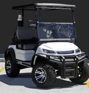 LVTong 2 Seater Lifted Electric Golf Cart