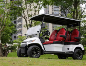 LVTong Eclipse 4 Seater Leisure Cart