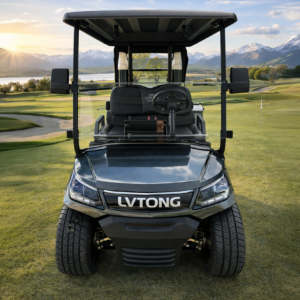 LVTong 2 Seater Limited Edition Premium Golf Cart
